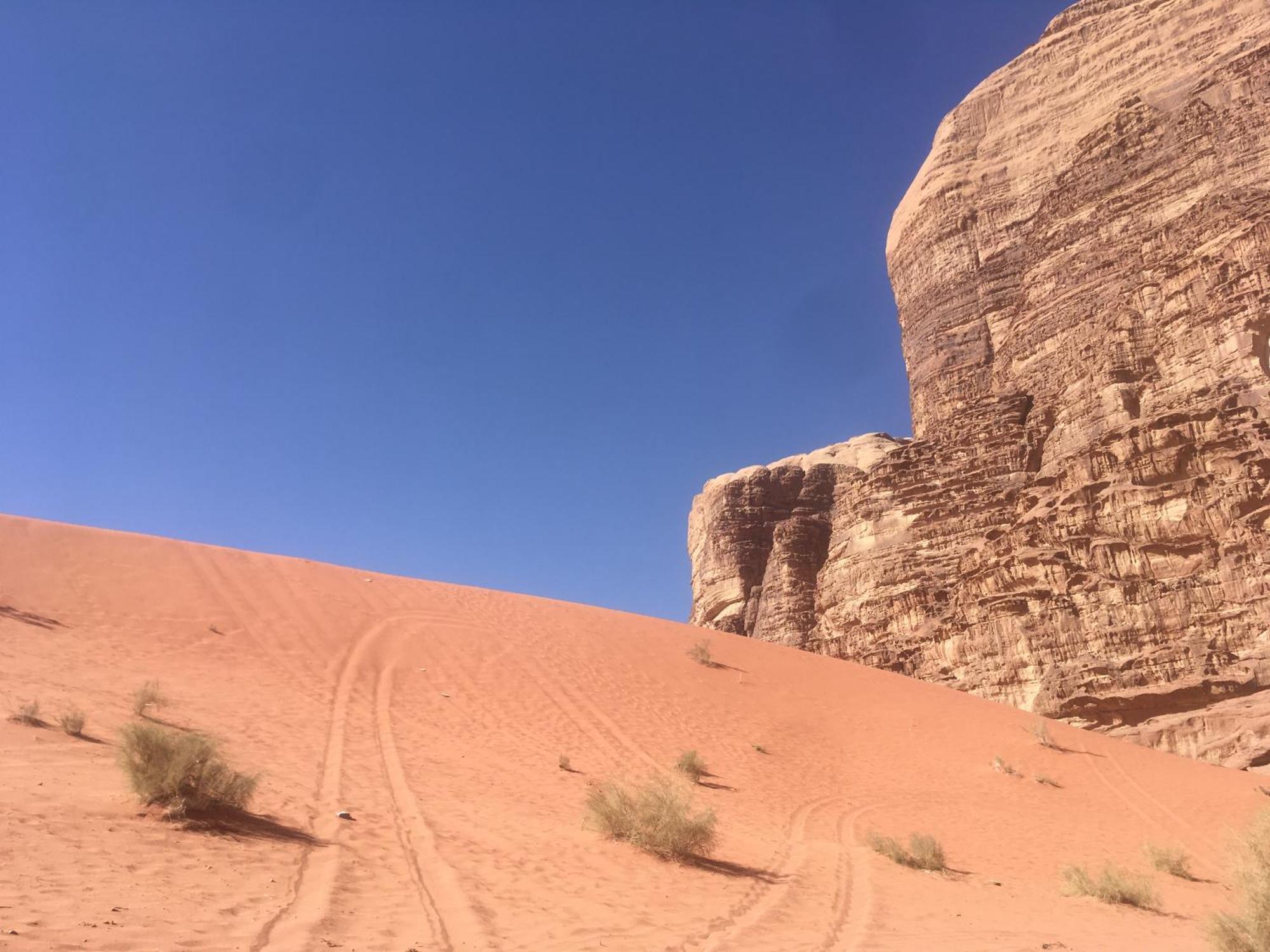 Wild Of Wadi Rum Buitenkant foto