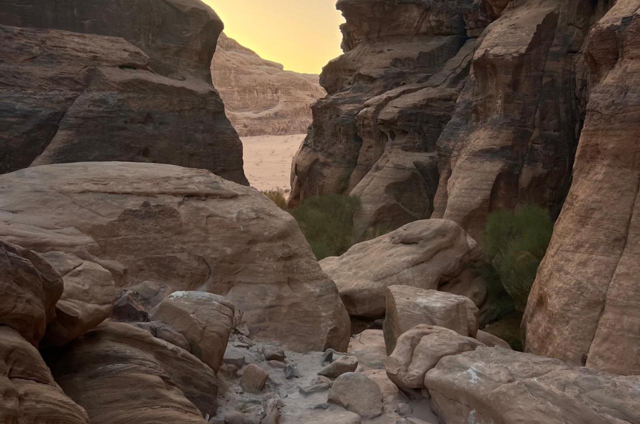 Wild Of Wadi Rum Buitenkant foto