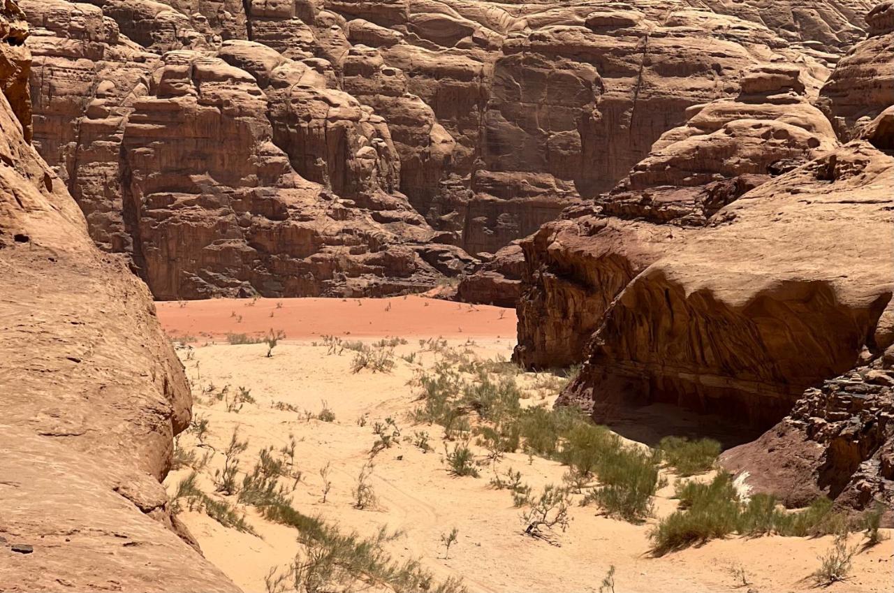 Wild Of Wadi Rum Buitenkant foto