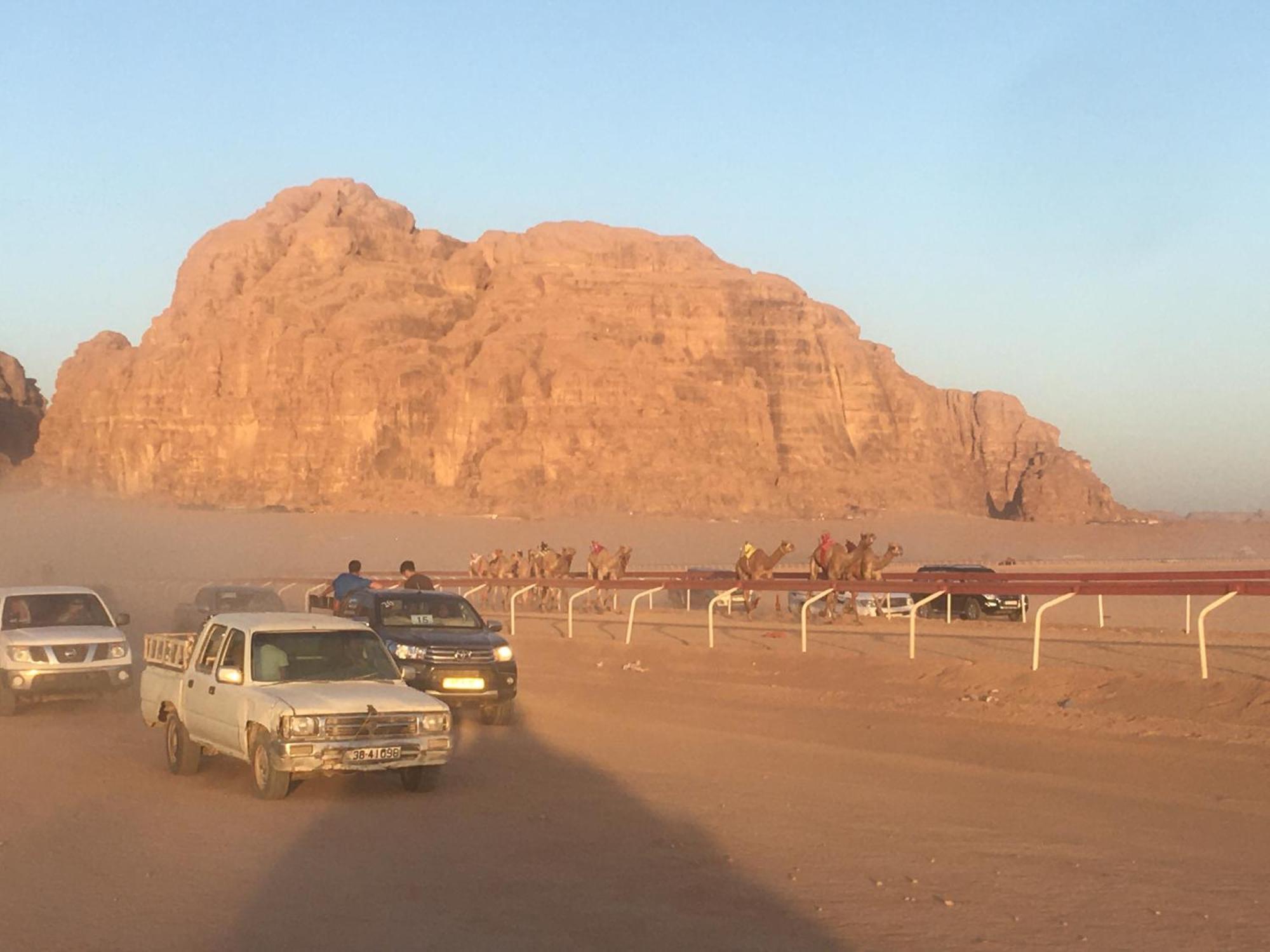 Wild Of Wadi Rum Buitenkant foto